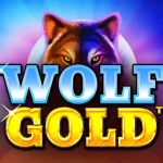 Menang Besar dengan Serunya Bermain Wolf Gold!